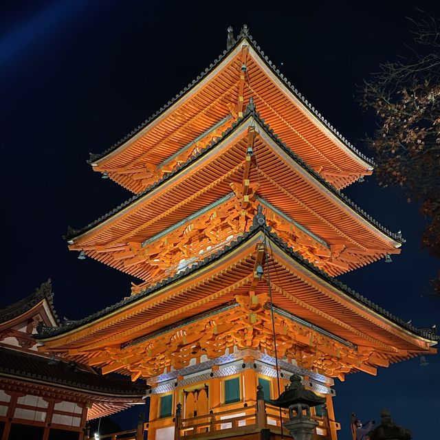 不一樣的最著名景點 – 清水寺夜間拜觀