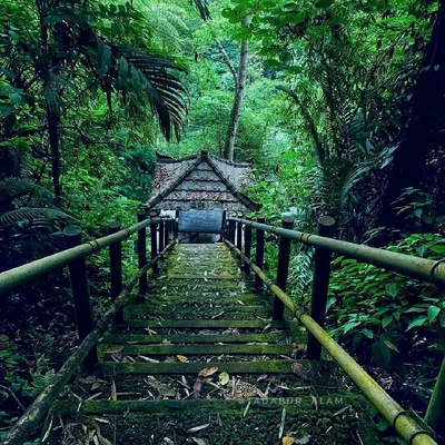 NUNGNUNG WATERFALL Bali Travelogues NUNGNUNG WATERFALL Bali Travelogues