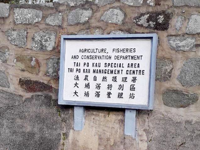 大埔滘林徑