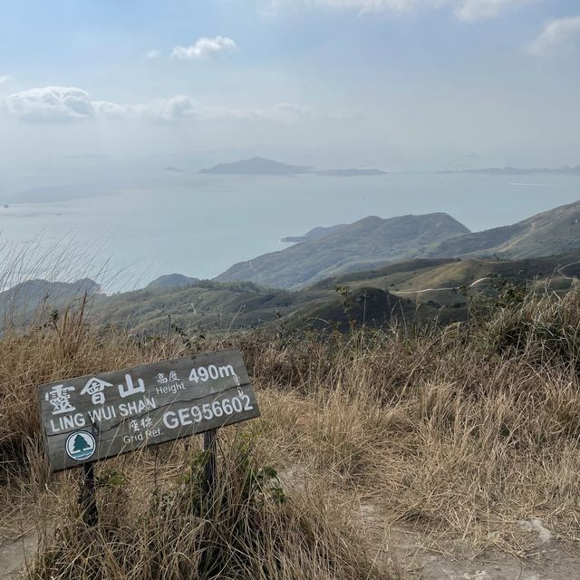 大嶼山看芒草🌾