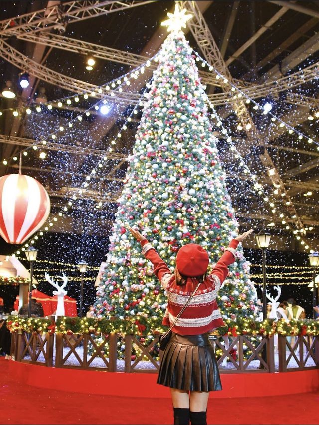 Winter Wonderland 冰雪奇幻國度