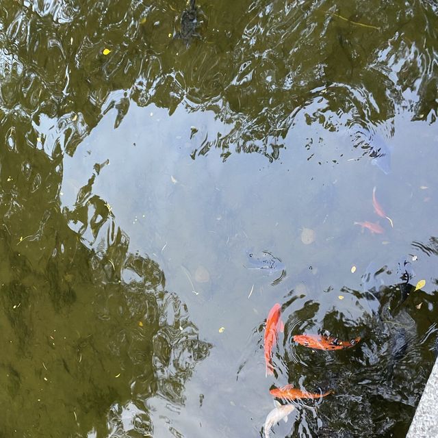 九龍公園