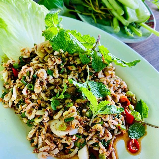 แพอารยา
