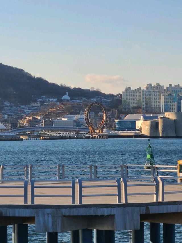 [여수] 동백열차 타고 오동도 한바퀴