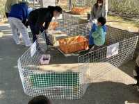 岐阜県🐏🐔💓【移動動物園　プチZOO】