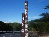 【香川】小豆島で行きたい！お猿の国