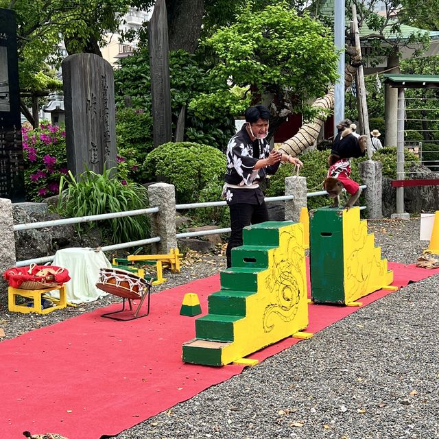 【東京】東京で藤の花といえばの名所