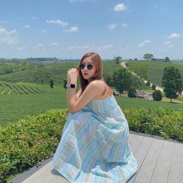 ไร่ชาฉุยฟง 🌿 จังหวัดเชียงราย