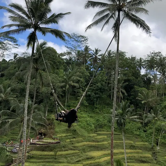 beautiful & awesome bali swing 