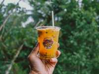 Tree House Cafe คาเฟ่บ้านต้นไม้ สงขลา 🛖🌲🌱