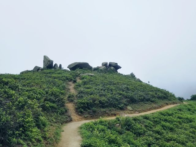 老虎頭