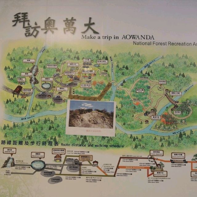 魅力森林奧萬大🌲🌲🌲