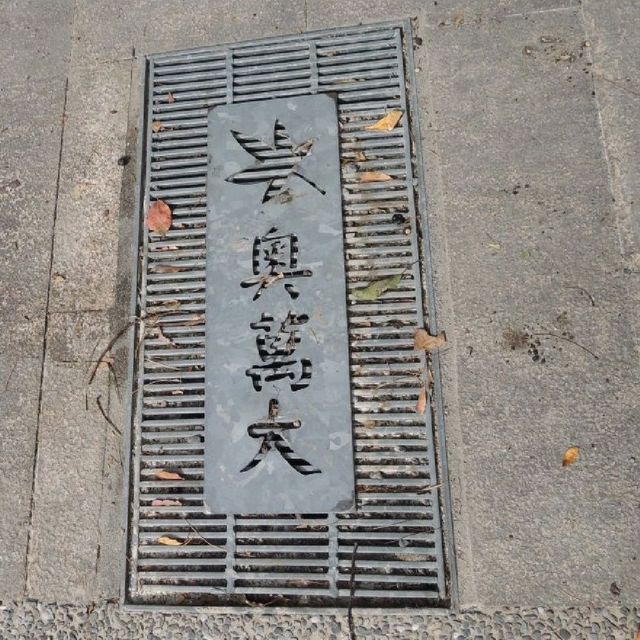 魅力森林奧萬大🌲🌲🌲