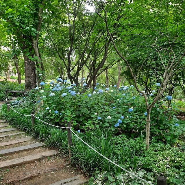 전주 수목원