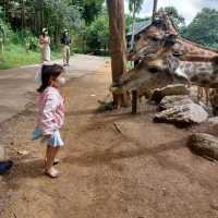 동물을 가까이서 보며 먹이주기 체험가능 한 Bonanza Exotic Zoo