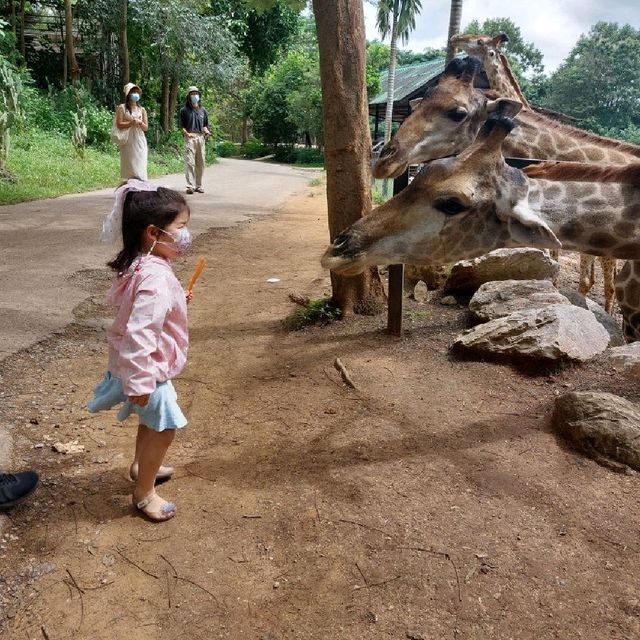 동물을 가까이서 보며 먹이주기 체험가능 한 Bonanza Exotic Zoo