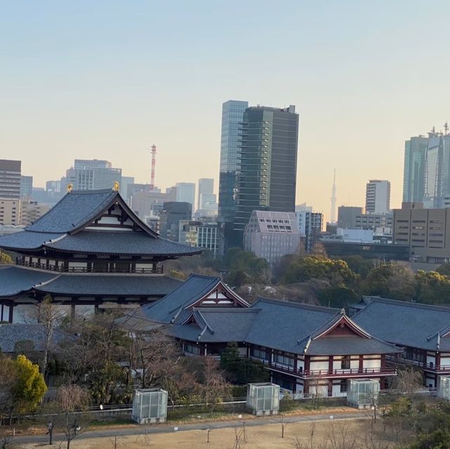 【東京】夜と朝の増上寺