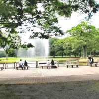 Meiji Shrine @Shibuya Tokyo