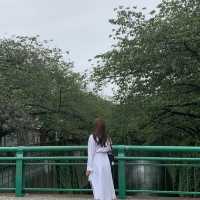 도쿄의 따뜻한 감성을 담은 동네 : 나카메구로