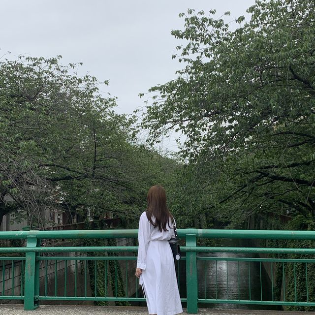 도쿄의 따뜻한 감성을 담은 동네 : 나카메구로