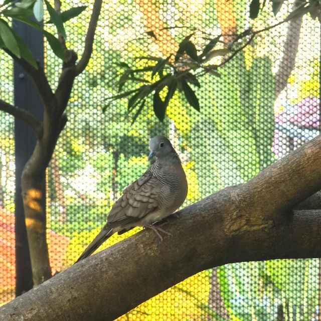 每個地方都可以打卡嘅公園