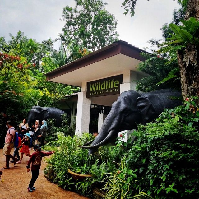 Singapore Zoo Expedition Trip