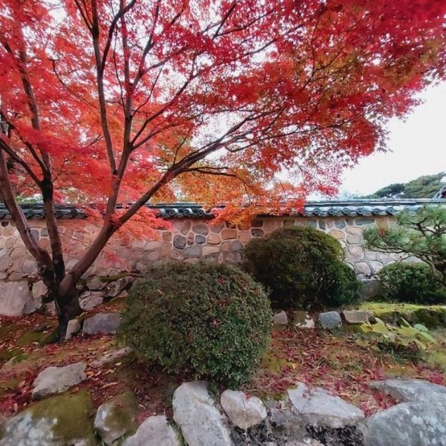 Colours at Bulguksa Temple  Gyeongju