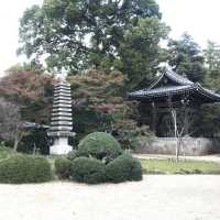 ชมใบไม้เปลี่ยนสีที่วัดtozenji🍁🍁🍁