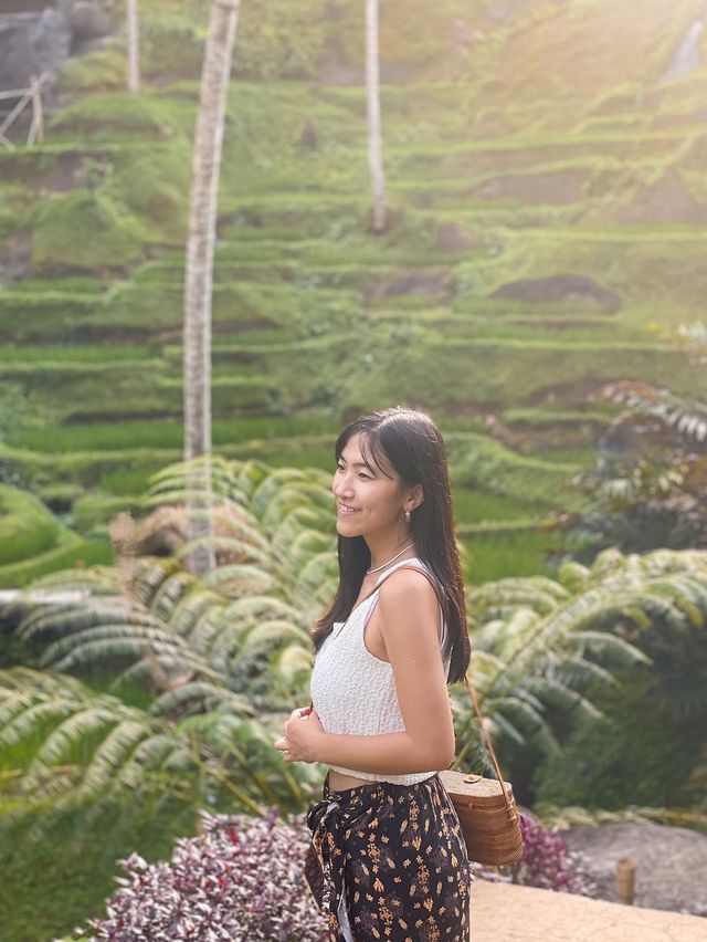 峇里 | Ubud漫步梯田之選🌾