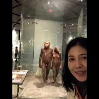 มาเที่ยว American Museum of Natural History ค่ะ