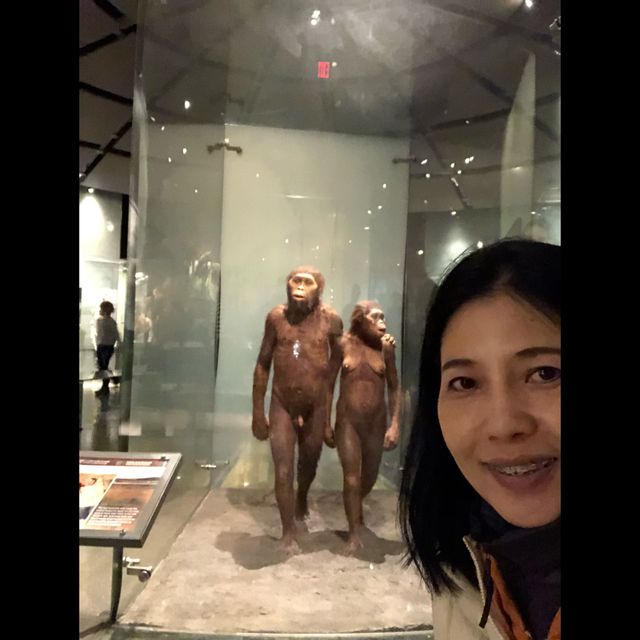 มาเที่ยว American Museum of Natural History ค่ะ