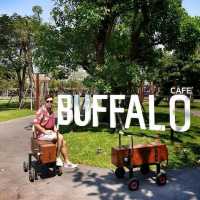📌The Buffalo Amphawa cafe' 🐾🐈