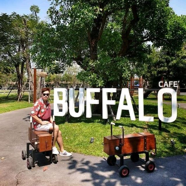 📌The Buffalo Amphawa cafe' 🐾🐈