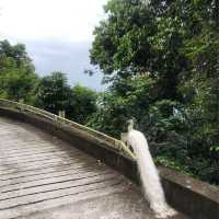 quiet relaxing staycation - Rawa island 