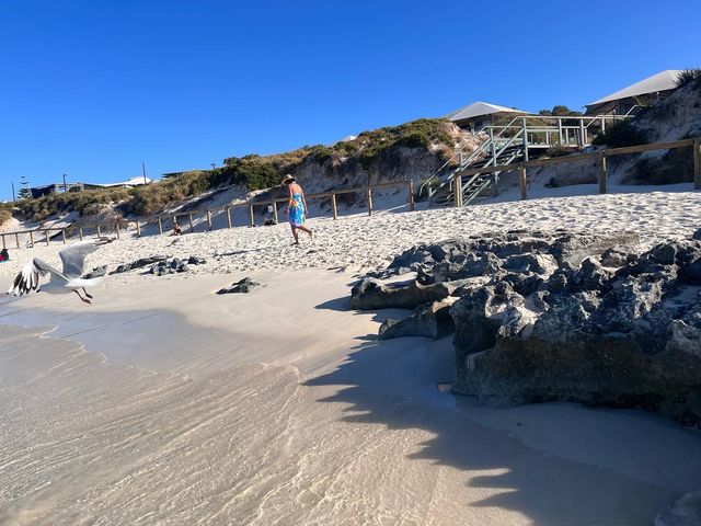 Rottnest Island! Parakeet Bay! 📸😎