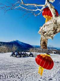 UP IN YANGCAO MOUNTAINS 