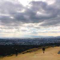 絶景紅葉と日本の歴史を感じる旅！奈良公園と若草山