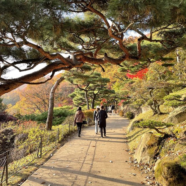 화담숲에서 자연을 느껴요