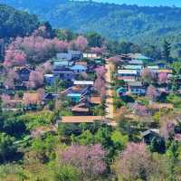 จุดชมวิววัดป่าภูหินร่องกล้า

