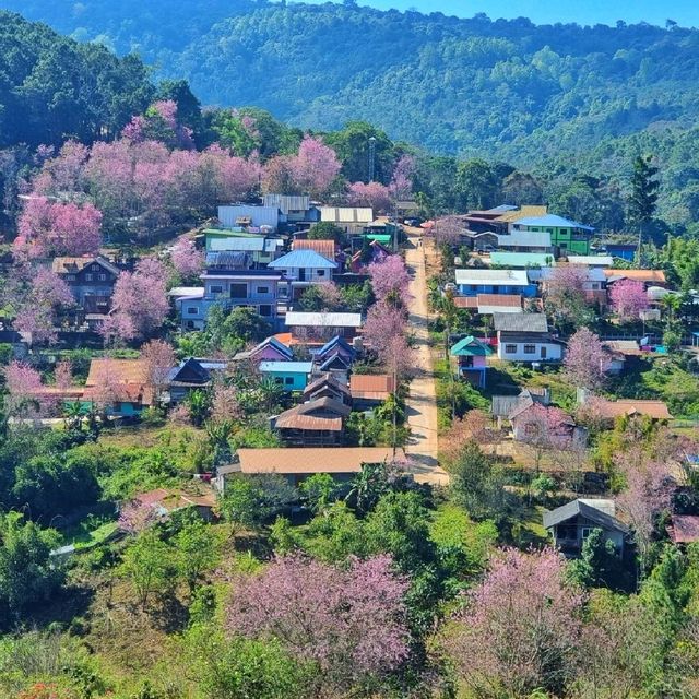 จุดชมวิววัดป่าภูหินร่องกล้า

