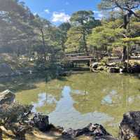 【銀閣寺】日本庭園🇯🇵