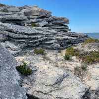 Nature Wonders of Rottness Island