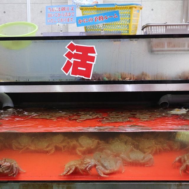 函館朝市海鮮早餐