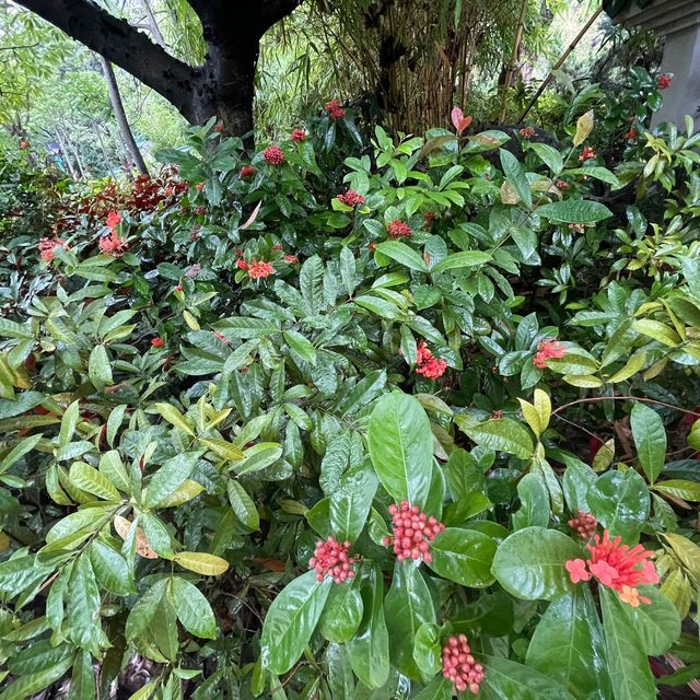 荔枝角公園