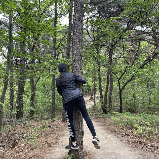 등산 초보자도 쉽게~ 천안 태조산에서의 하루 
