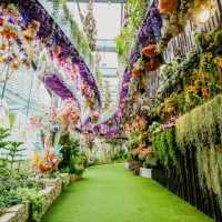 Floral Fantasy At Gardens By The Bay