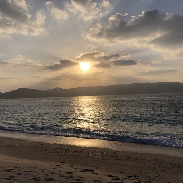 素朴で手付かずな自然の残る奄美大島が好き❣️