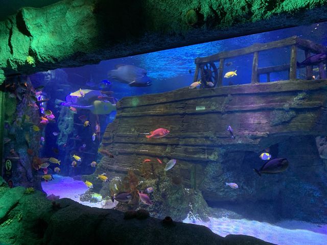 Sea Life Malaysia