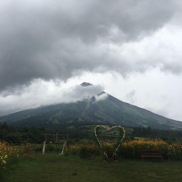 Mayon Volcano (the perfect cone and active volcano)