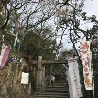 🇯🇵 參觀戰國名將的邸宅 — 岐阜公園及百曲登山道